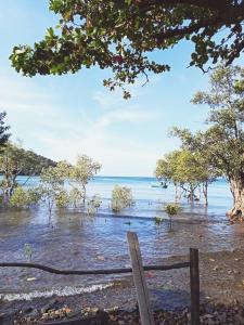 Ingdao Bungalow Koh Chang อิงดาว บังกะโล เกาะช้าง