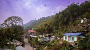 The Black Conch Homestay, kalimpong Deolo - Rishop
