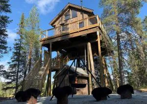 Fantastic Experiences, Wooden Cabin A Serene Escape in Trysil Forest - Jordet i Trysil