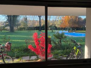 Appartements Appartement familial au bord de la Marne, jardin tropical , piscine, tennis, terrasse, parking gratuit proche Disneyland : photos des chambres