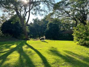 Green Bird Cabin at Doi Inthanon National Park