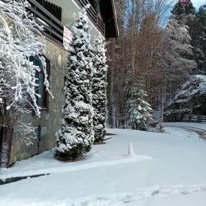 Apartament Stanca Piticului