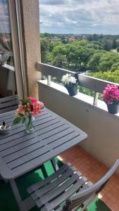 cosy pres de la cepiere