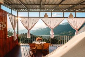 Happy camp phuchifa แฮปปี้แคมป์ ภูชี้ฟ้า