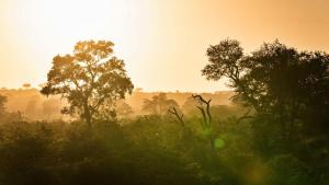 Geigers Camp in Timbavati Game Reserve by NEWMARK