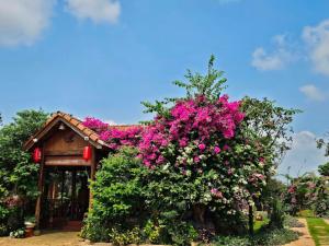 Annas Homestay Pleiku