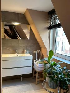 Cozy room just outside Utrecht Center, calm & green