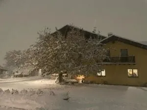 La Vigne de Papagran - Aosta