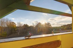 Hauptstrasse 27c Ferienwohnung "Lütten Utkiek"