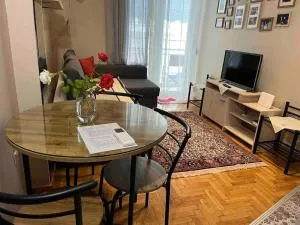 Beautiful apartment in the heart of the city - 纳乌萨玛西亚斯