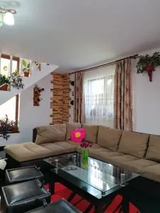 Cabana Acasă la Delia - Izlaz