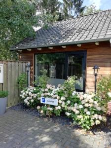 B & B Chawe