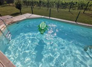 La Vigneraie de Laura: Gîte Entre Vignes et Chênes