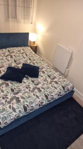 Appartements App 1- Studio Lumineux et Jardin Hyper-Centre 5min gare : Appartement 1 Chambre