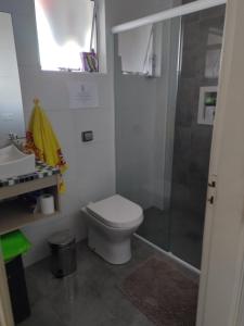 Carnaval na Praia Grande SP-Disponível