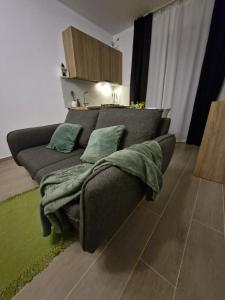 City Forest - Apartament modern lângă Timișoara