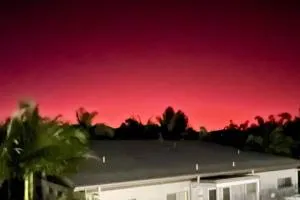 Mshells Whitsunday Escape - Palm Grove