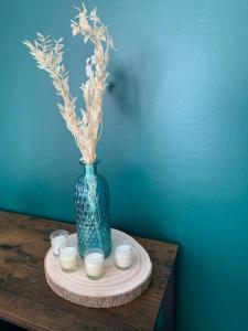 Appartements Appartement Cosy 4 personnes au coeur des Pyrenees : photos des chambres