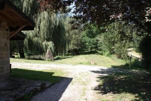 B&B / Chambres d'hotes LE DOMAINE DU SENS : photos des chambres