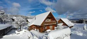 "Das Jagdhaus"- Hüttenurlaub in Bayern - Bischofsreut