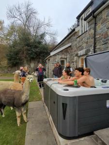 Stunning Barn Conversion with HOT TUB and ALPACAS - Ty Cerrig Barn