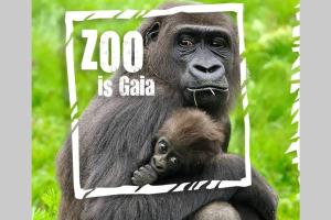 Tower Apartment Centre Sittard