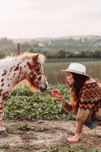 Tenuta Malvolti - Al Vecchio Convento