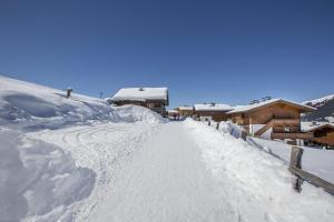 Steinadler Silberleiten