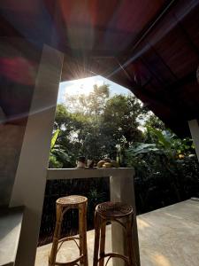 Jungle Cottage