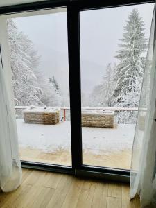 Stone Apartment with sauna Sinaia