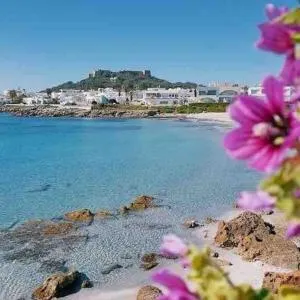 Dar Sammoud A1 - Kelibia