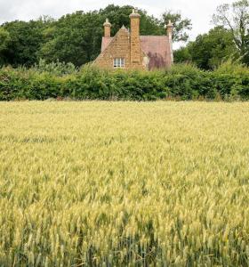 Beautiful Lodge Cottage near Belvoir Castle