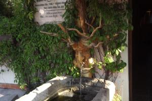 Ferienwohnung am Harz