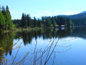 Sonnenalm - Ferienwohnung