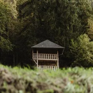 Mazot du Criou - Samoëns - 莫尔济讷