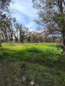 Casita de descanso Los Lirios