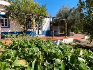 Quinta Do Céu - Refúgio no Alentejo - 维迪盖拉