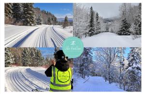 Yourtes Forillon - à 4km de marche 4km walk