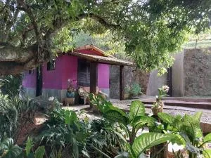 Bangalô Quaresma - 4 hóspedes, Paz e Conforto - 瓦索拉斯