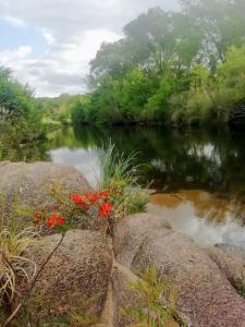 El Campito casa frente al río
