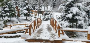 Відпочинково- оздоровчий комплекс ОПАКА з форельником