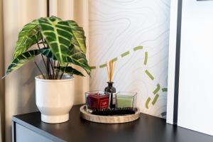 Apartament z aneksem kuchennym Crystal Pine - Biała Perła - Czarna Góra Resort