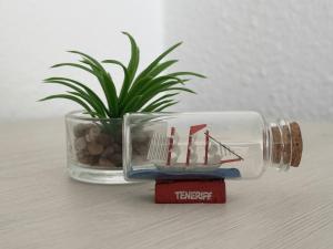 Las Americas Stunning Apartment Close to the Sea in Tenerife