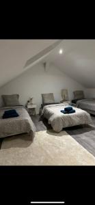 Appartements L-Immeuble de l-Avenue : photos des chambres