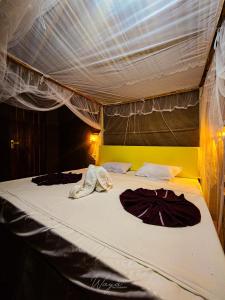 Wild Safari Clay House