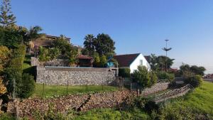 Lucky Lemons - Boutique Houses Madeira - 2