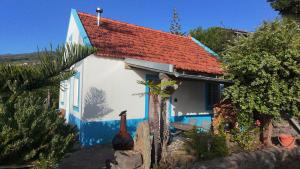 Lucky Lemons - Boutique Houses Madeira - 2