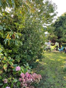 Maisons de vacances Maison Audierne avec son jardin : photos des chambres