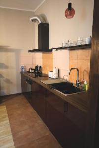 DAli apartament w centrum Poznania ul Różana 21