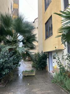 Apartament tek Kompleksi Thomallari-Golem